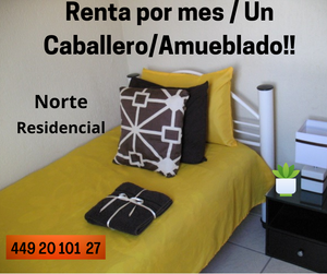 RENTA Aguascalientes Amueblado/Dpto/Norte/un Caballero /Garaje/Internet /Plaza Altaria/Softek/UAA.