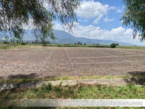 Venta de lotes de terreno en Tlacolula Oaxaca