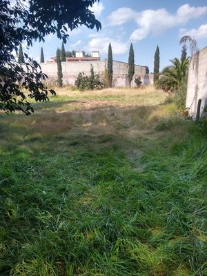 BONITO TERRENO BARDEADO Y ARBOLADO PROPIO PAR A CASA DE CAMPO