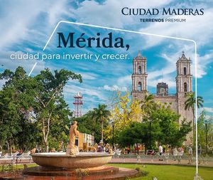 Terreno comercial Ciudad Maderas Península