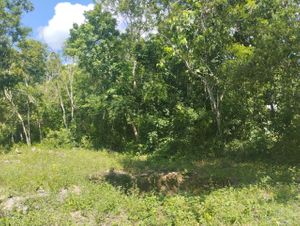 Terreno en Muyil a minutos del nuevo aeropuerto y Tren Maya