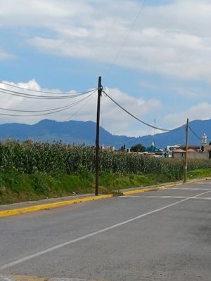 TERRENO EN VENTA CARRETERA TOLUCA TENANGO ANTES DE LA DESVIACIÓN A CALIMAYA