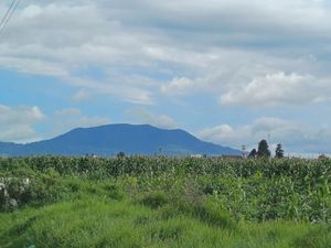 TERRENO EN VENTA CARRETERA TOLUCA TENANGO ANTES DE LA DESVIACIÓN A CALIMAYA