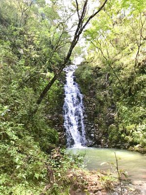 Terrenos en venta en proyecto Mazati, Chiquilistlán, Jalisco