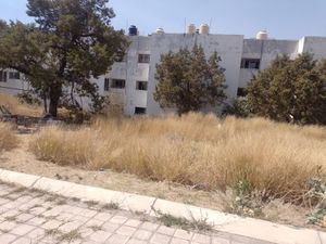 Terreno en Venta en Miraflores Tlaxcala