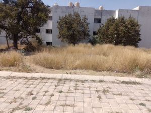 Terreno en Venta en Miraflores Tlaxcala