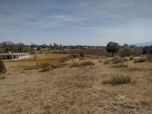 Se vende terreno a un lado del Ojito de agua en San Luis apizaquito.