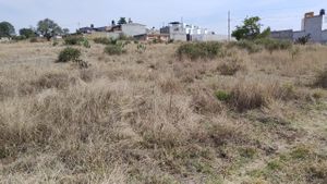 Se vende terreno amplio en San Miguel Contla