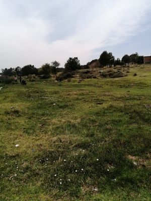 Se vende terreno a un lado del Ojito de agua en San Luis apizaquito.