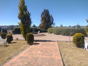 Se renta Rancho en Muñoz Domingo Arenas, Tlax.
