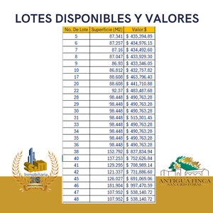 se venden 25 lotes en promoción en Puebla