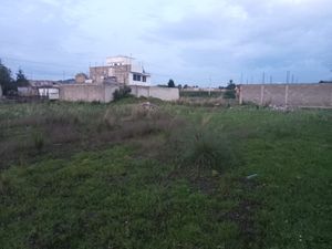 Se vende terreno en Xaloztoc, Tlax.