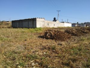 Se venden 24 lotes económicos en el centro de Tzompantepec, Tlax.