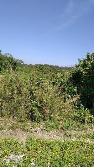 TERRENO EN ZONA INDUSTRIAL DE COATZACOALCOS