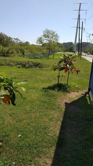 TERRENO EN ZONA INDUSTRIAL DE COATZACOALCOS