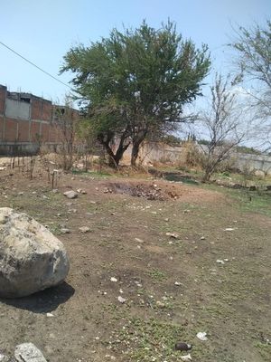 terreno en venta en Cuautla Morelos