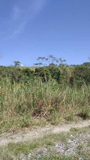 TERRENO EN ZONA INDUSTRIAL DE COATZACOALCOS