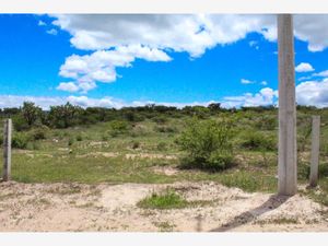 Terreno en Venta en San Jorge Lagos de Moreno