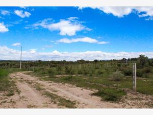 Terreno en Venta en San Jorge Lagos de Moreno