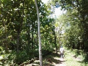 Finca/Rancho en Venta en Carlos Rovirosa (Tulipán) Cunduacán