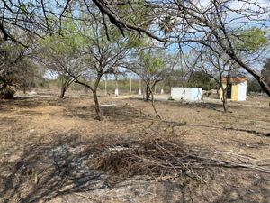 Terreno en Renta en Dos Rios Guadalupe