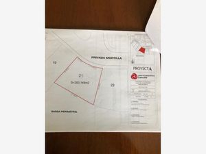 Terreno en Venta en Lomas de Angelópolis San Andrés Cholula