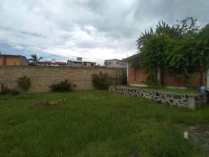 Casa en Venta en Santa Rosa Yautepec