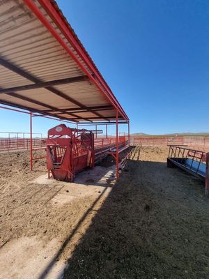 RANCHO EN VENTA, 4,000 Has, CHIHUAHUA, MX.