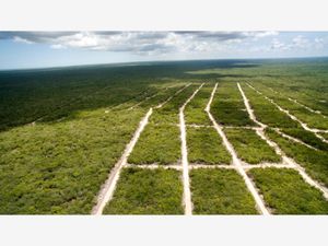 Terreno en Venta en Chicxulub Chicxulub Pueblo