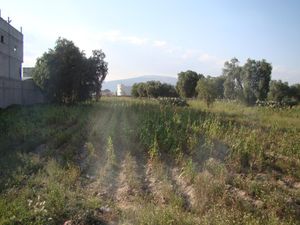 Terreno en Venta en La Trinidad Otumba