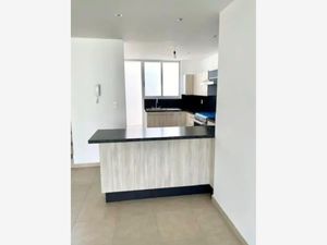 Casa en Venta en Maravillas Cuernavaca