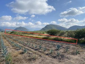 Terreno en Venta en San Jeronimo Tlacochahuaya San Jerónimo Tlacochahuaya