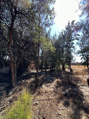 Terreno (5,600m2)  en Acolman, Santa Catarina, Estado de México