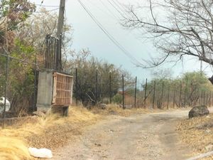 Terreno en Venta en Jojutla Centro Jojutla