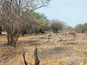 Terreno en Venta en Jojutla Centro Jojutla