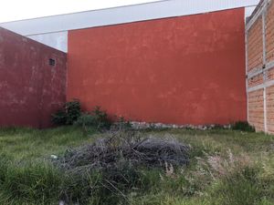 Terreno en Renta en Santa Cruz Buenavista Puebla