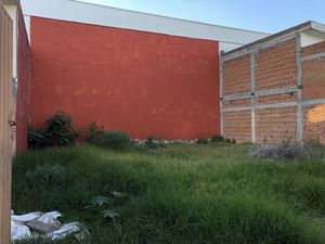 Terreno en Renta en Santa Cruz Buenavista Puebla