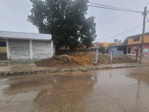 Terreno en Venta en Alejandro Briones Altamira