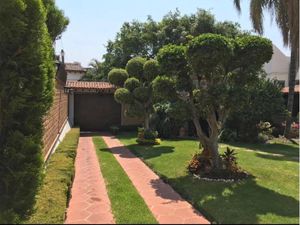 Casa en Renta en Vista Hermosa Cuernavaca