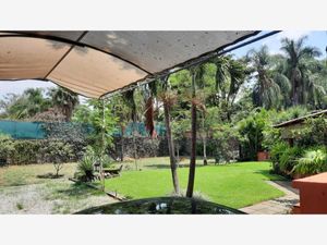 Terreno en Venta en Vista Hermosa Cuernavaca