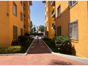 Departamento en Renta en Buenavista Cuernavaca