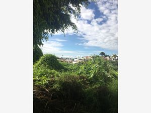 Terreno en Venta en Real de Tetela Cuernavaca