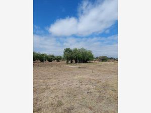 Terreno en Venta en Hacienda San Diego Puebla