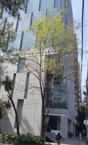 Venta de Edificio Nuevo en Polanco / Renta de Oficinas Corporativas