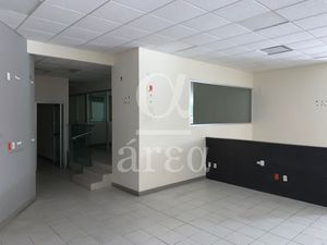 Local Comercial y Oficina en Av Palmas en Renta