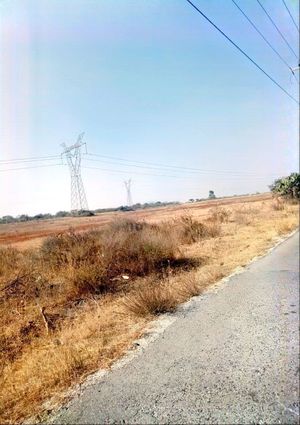 TERRENO  EN VENTA AHUEHUEPAN  HIDALGO