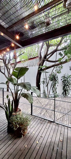 Rentó Departamento Roma norte con Roof garden privado