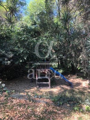 Terreno en Venta en  Lomas de Chapultepec