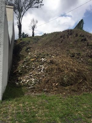 Terreno en venta en Colinas del Bosque