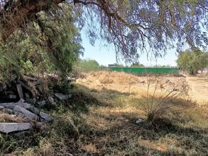 Terreno Plano en Chiautla